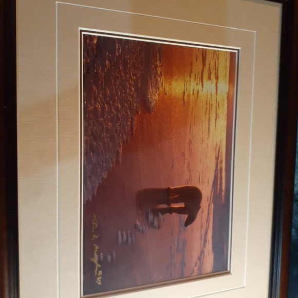 GORGEOUS 1989 Thomas D Mangelsen Signed BEAR 8"x10" Framed Print. - Picture 1 of 5